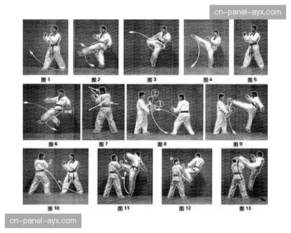 荆州市赛事技术统计：前腿连续横踢、双飞踢等动作击打精准度数据分析